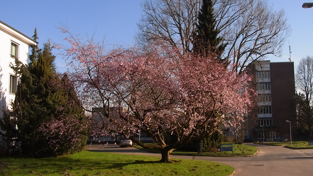 Informatikum Frühjahr 2017
